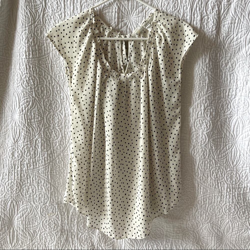 Lauren Conrad brand cream polka dot blouse